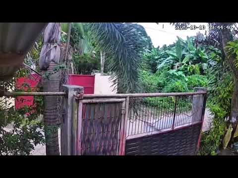 M7.4 Earthquake shakes Entrance in Samal Island, Davao del Norte.