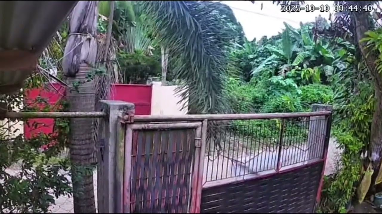 M7.4 Earthquake shakes Entrance in Samal Island, Davao del Norte.