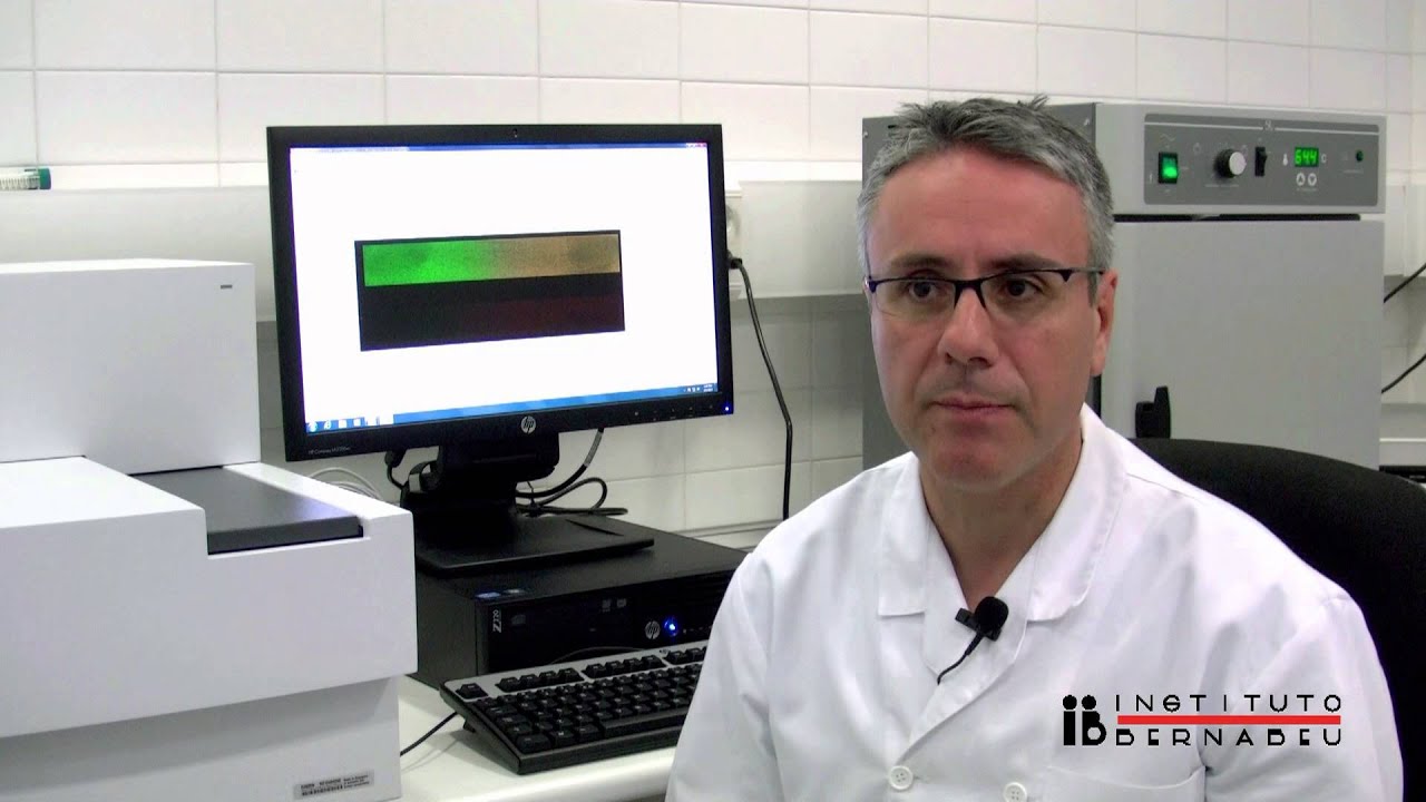 Array CGH: Descubriendo los milagros del embrión. Comprehensive Chromosome Screening (CCS)