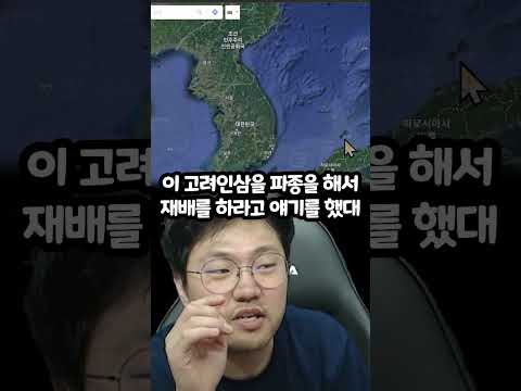 일본에 인삼이 없는 이유?