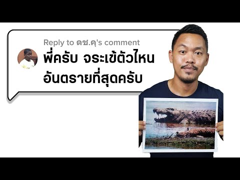 จระเข้ตัวไหนอันตรายที่สุด | ตอบคำถามสุดปั่นจาก Tiktok