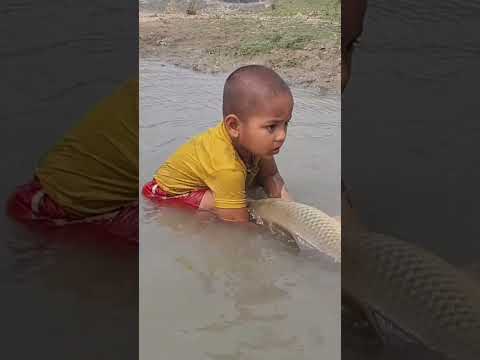 Amazing Fishing  #fishing