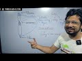Micro and Mini Satellites in Genomics