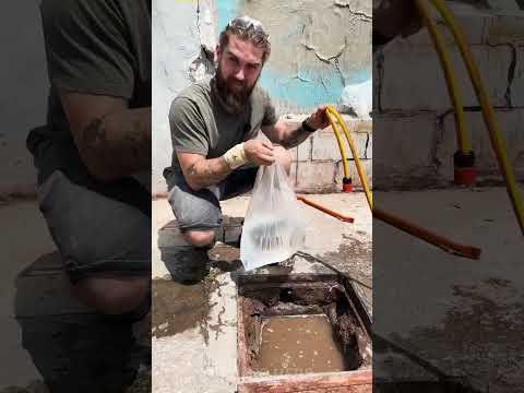 How to Pick Up Wet Money Without Getting Dirty - Life Hack! 🧠✨