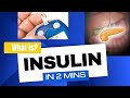 Insulin Functions and Glucose Metabolism