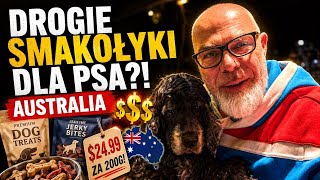 Dlaczego jedzenie dla psa jest tak drogie?