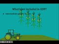 GDP Exclusions and Intermediate Goods