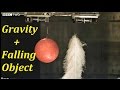 Exploring Galileo's Gravity Experiment in a Vacuum