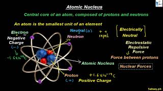 Atomic Nucleus