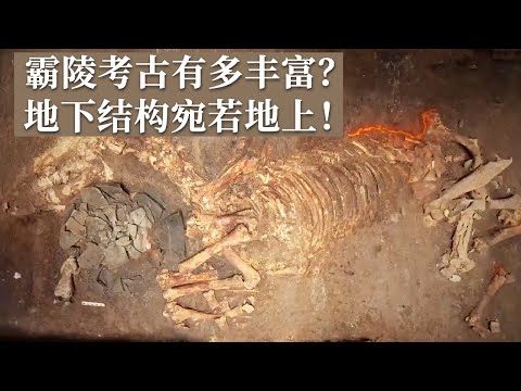 霸陵考古提供众多实物资料！陵园外发现与地上对应的地下“官署”和地下“动物园”！《探索·发现》寻找霸陵 第二季（下）丨 中华国宝