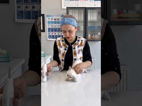 Yine kulak uyuzu yedim😅😅