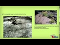 Glacial Movement and Striations