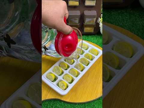 Lemon Mint Drink Recipe | Homemade Summer Drink | Easy Lemon & Mint Juice at Home | Mint Margrita