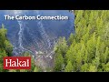 Carbon Dynamics in Freshwater Ecosystems