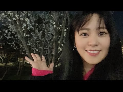 일본인)한국 양재! 벚꽃보러 왔어요!!