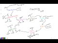 Cell Structure and Function Concepts