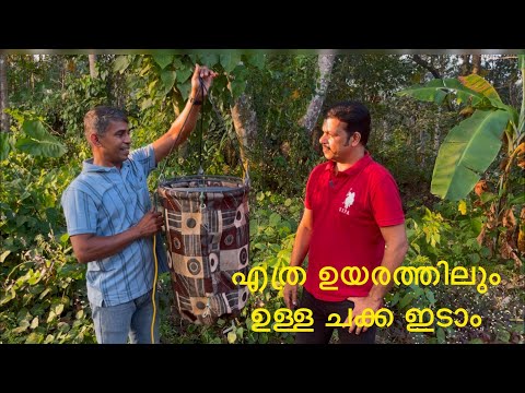 ചക്ക ഇടാൻ യന്ത്രം! Jackfruit Harvester.
