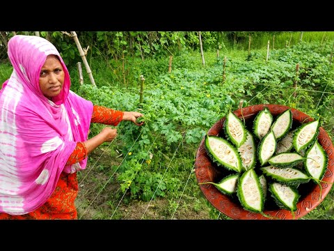 Farm Fresh Bitter Gourd Fried জাদুকরী টেকনিকে তেঁতো ছাড়াই মচমচে করলা ভাজি Yummy Crispy Karela Fry