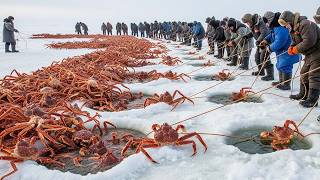 You’ve Never Seen a Crab Catch Like This — King Crabs, Blue Crabs, and More