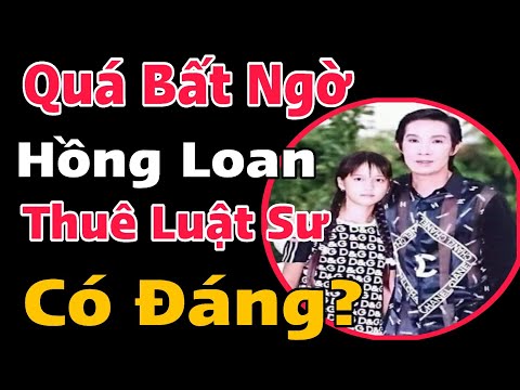 Bất Ngờ Với Câu Chuyện Con Nuôi Hồng Loan Mang Điềm Tiếu Sự Thật Về Cách Hành Xử Của Cái Mác Luật Sư