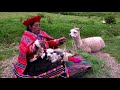 South America Geography and Culture