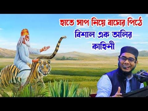 বিশাল এক আল্লাহর অলির কাহিনী shahidur rahman mahmudabadi new bangla waz মাহমুদাবাদী ওয়াজ ২০২৪