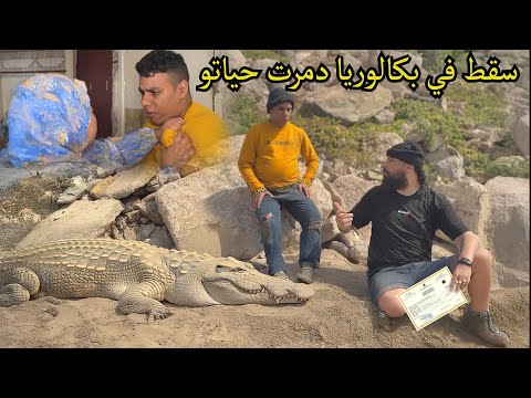موخيطو: بسبب الباك (BAC) دمرت حياتهم [ البكالوريا مسيرة الحياة ]