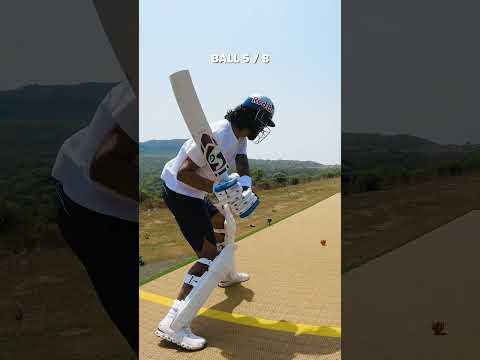 The Ultimate Cricket Challenge 🏏