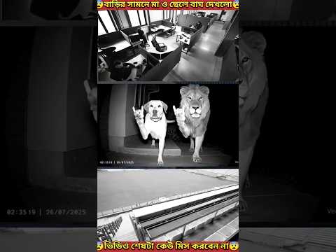 বাঘ🐯 ও কুকুরের🐶বন্ধুত্ব | Friendship between a tiger and a dog | #shorts #youtubeshorts #mondaltek