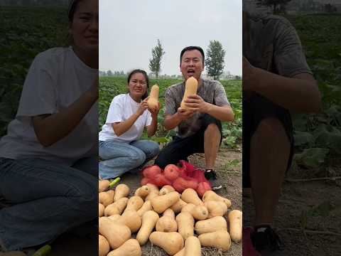 राजू और चम्पा के अनोखे फल 🥺😭 Part {2} #shortvideo #indianshorts #mangojuice #mangopickel #aamvideo .