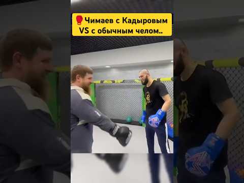 🥊Почувствую разницу в спаринге.. #khamzatchimaev #ufc #mma #islammakhachev #conormcgregor #khabib