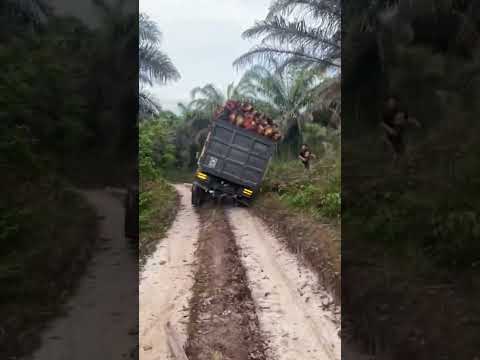Detik detik truk sawit terguling