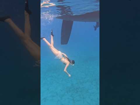 H2O people, plz cast me for a spinoff. Can't promise I won't flip the camera off. # #sketch #comedy