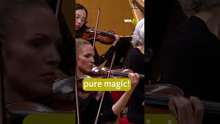 #relaxing strings in Sibelius' 1st Symphony #classicalmusic #orchestra