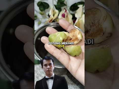 manfaat tembuluk kelapa bagi kesehatan #tipspraktis #kesehatan