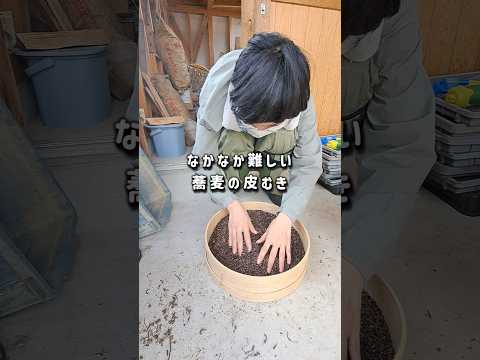 上手く剥く方法、知ってる? #蕎麦