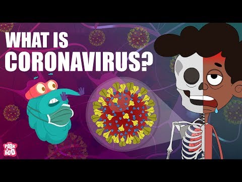CORONAVIRUS | What Is Coronavirus? | Coronavirus Outbreak | The Dr Binocs Show | Peekaboo Kidz - YouTube