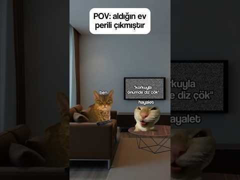 Aldığın Ev Perili Çıkmıştır #shorts