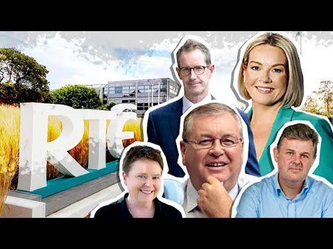 The real RTÉ Top Ten Earners