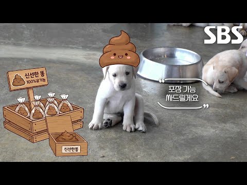 ‘다둥이맘’ 마르, <strong>자유</strong> 만끽하느라 꼬물이들 육아는 뒷전! (ft. 똥트리버)