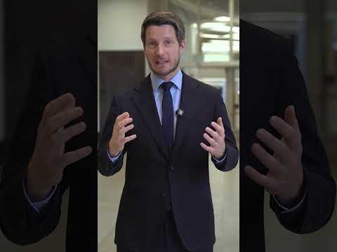 Reale Nachrichten statt Fake-News beim ZDF #afd #ltnrw