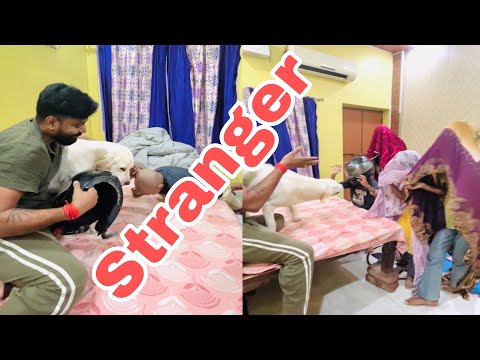 Bella the Baby Dog Can’t Handle So Many Strangers 😍 #CuteDog #Bella #DogReaction #PuppyVibes #Yt