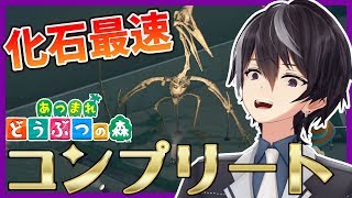 [LIVE] 【あつ森】最速で化石をコンプリートしてジュラシック帝国を築く【あつまれどうぶつの森】