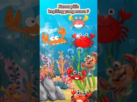 Serba Kepiting #kepiting #lucu #labubu