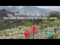 Wildfire Prevention and Safety Practices