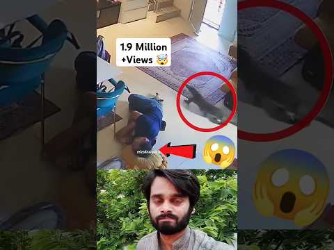 😱👆 Greatest save 🙏😯😇 #viral #viralvideo #viralvideos #viralshort #viralshorts #shorts #youtubeshorts