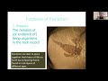 Scientific Theories and Evidence for Evolution