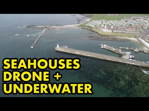 Drone of Northumberland Harbour Donate to the channel here_ https_//www.buymeacoffee.com/jackperks

Music © www.tomwanless.com
Foot