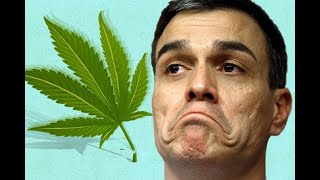 El Mayor obstáculo para la legalización de la Marihuana en México