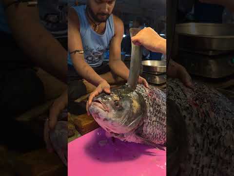 19 কেজি ওজনের কাতলা মাছ কাটছে সুবদোর করে #fishcutting #youtubeshorts #katlafish #fishcutting